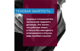 Теневая занятость Теневая занятость.